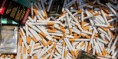 /album/fotogaleria/tabaco-jpg1/